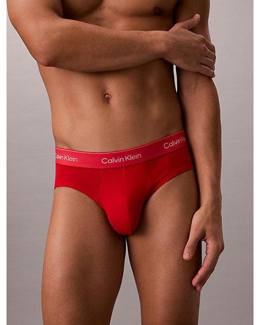 Calvin Klein 3-Pack Slips in het Gray voor heren