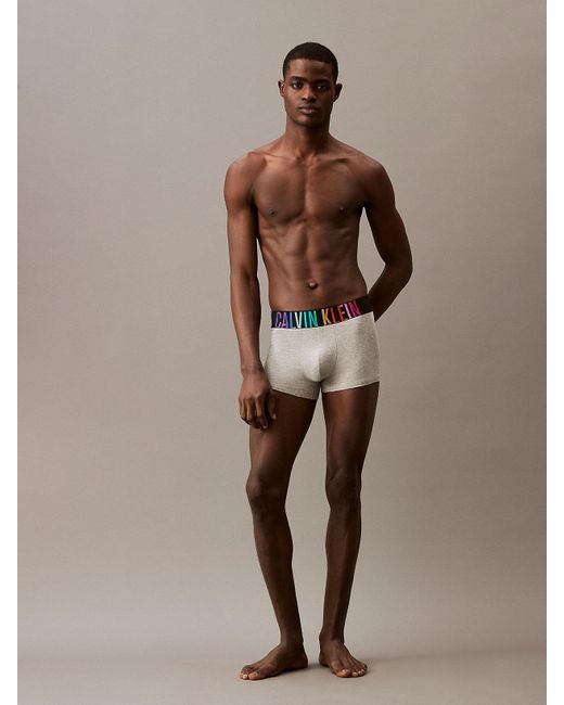 Calvin Klein Gray Trunks - Intense Power Pride for men