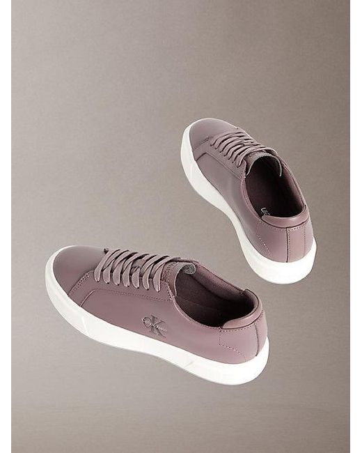 Calvin Klein Brown Premier Leather Signature Trainers