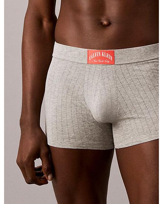 Calvin Klein Korte Boxers in het Brown voor heren