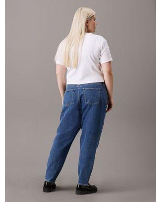 Calvin Klein Grote Maat Mom Jeans in het Blue