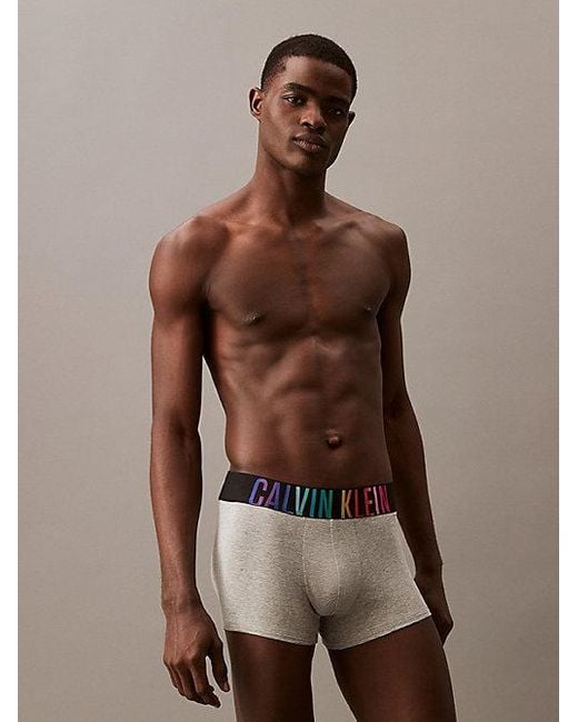 Bóxeres - Intense Power Pride Calvin Klein de hombre de color Gray