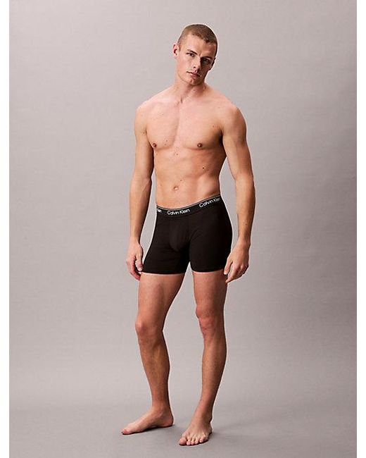 Calvin Klein Gray 3 Pack Boxer Briefs for men
