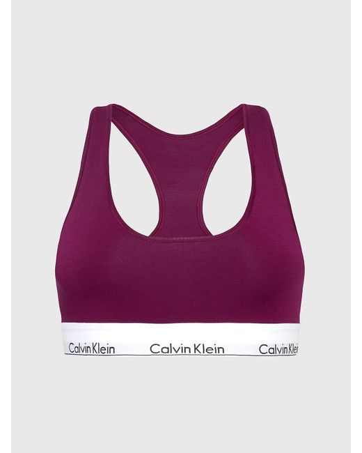 Calvin Klein Purple Bralette - Modern Cotton