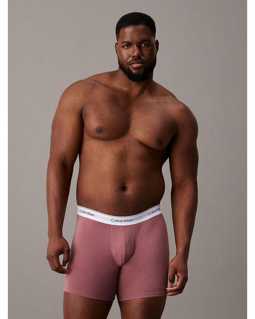 Calvin Klein Gray Plus Size 3 Pack Boxer Briefs - Modern Cotton for men