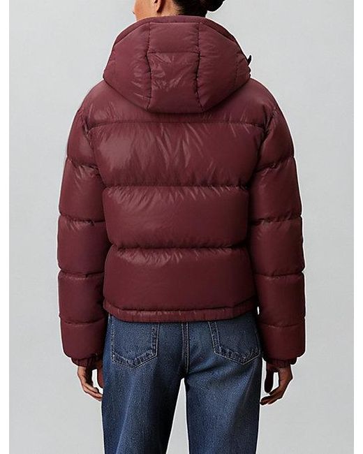 Calvin Klein Kort Donzen Pufferjack in het Blue