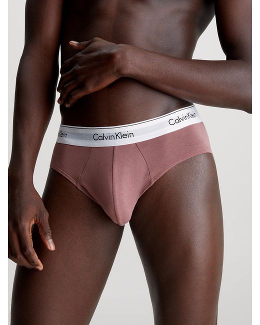 Calvin Klein Blue 5 Pack Briefs - Modern Cotton for men