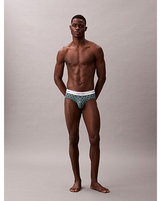 Calvin Klein 3-Pack Slips in het Gray voor heren