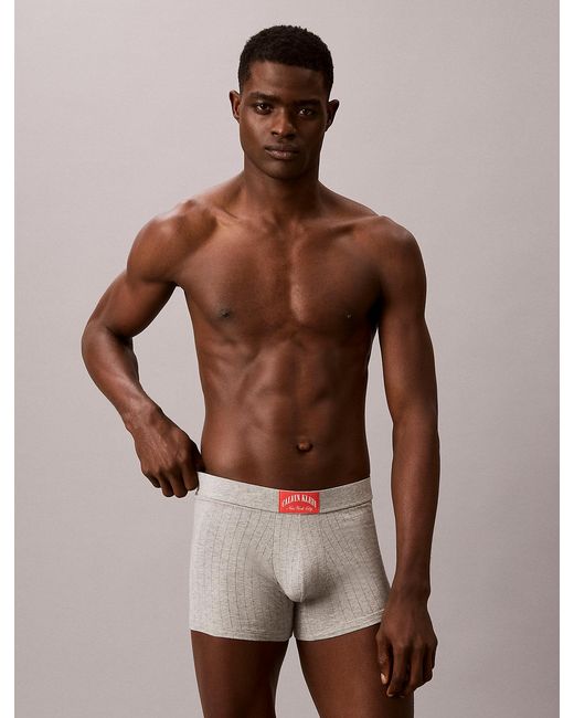 Calvin Klein Brown Trunks for men