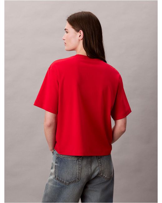 Calvin Klein Calvin Klein Embroidered Logo Graphic Classic T-Shirt