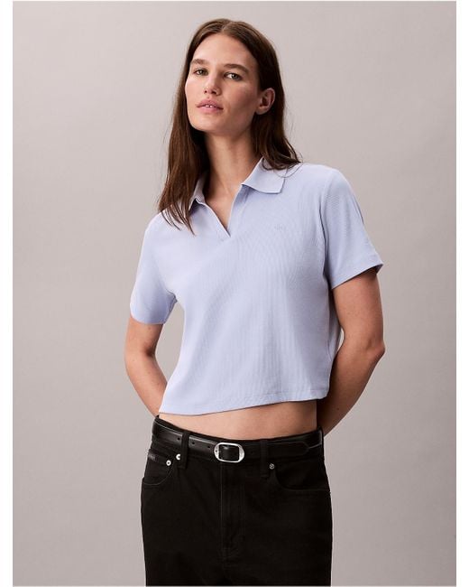 Calvin Klein Multicolor Calvin Klein Cotton Contour Rib Polo Tee