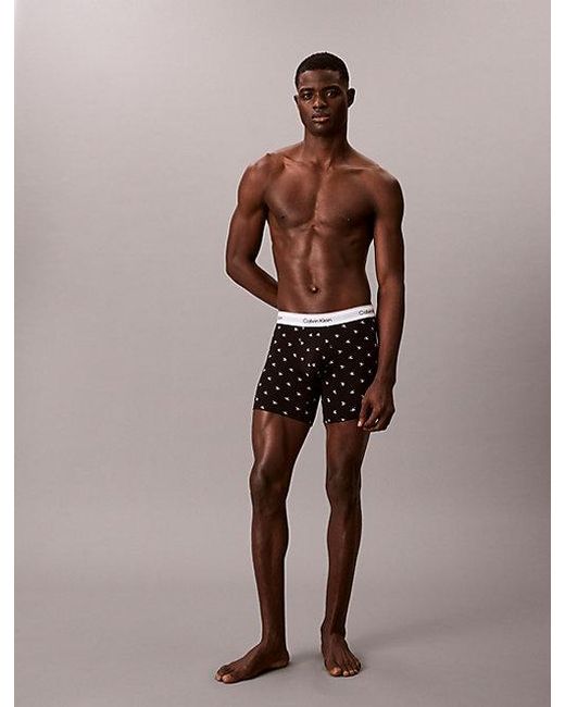 Calvin Klein Multicolor 3 Pack Boxer Briefs for men