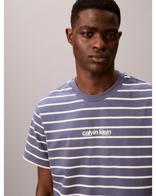 Calvin Klein Blue Relaxed Stripe Logo T-Shirt for men