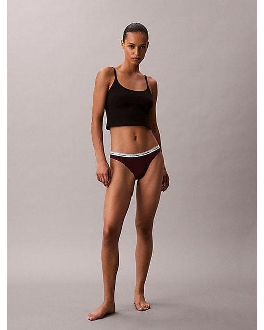 Calvin Klein Brown Bikini Briefs Icon Logo