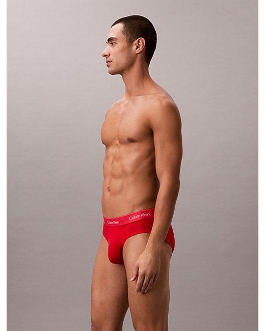 Calvin Klein 3-Pack Slips in het Gray voor heren