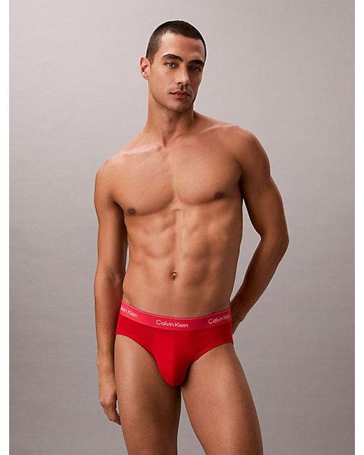 Calvin Klein 3-Pack Slips in het Gray voor heren
