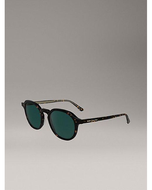 Calvin Klein Brown P 3 Sunglasses Ck24538S