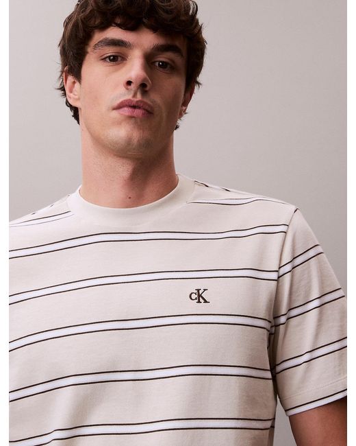 Calvin Klein Multicolor Stripe Monogram T-Shirt for men