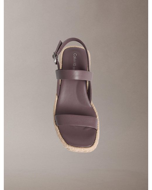 Calvin Klein Gray Beta