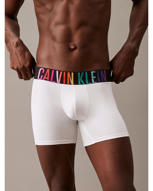 Boxers longs - Intense Power Pride Calvin Klein pour homme en coloris Brown