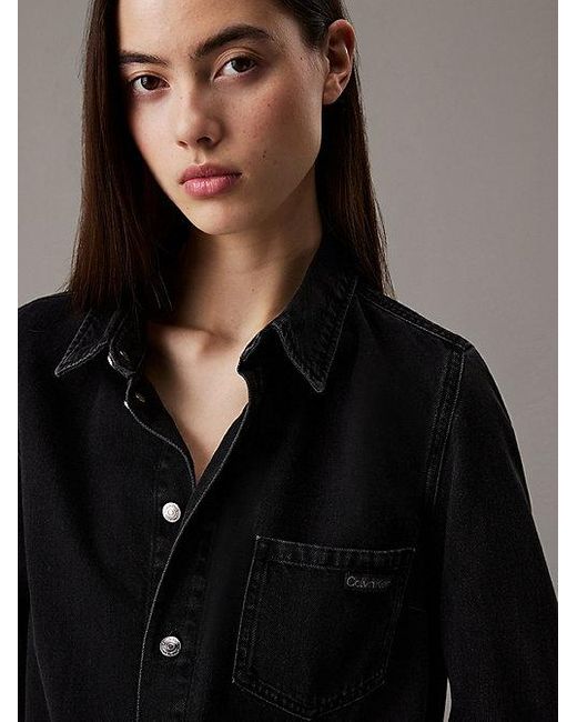 Calvin Klein Brown Tailliertes-Hemdkleid