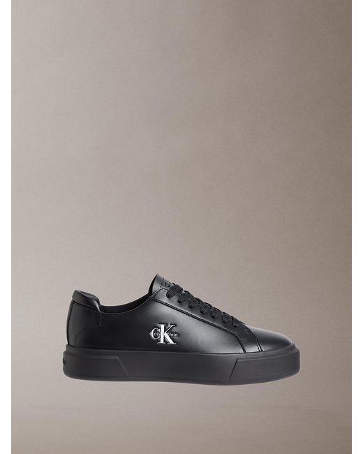 Calvin Klein Gray Premier for men