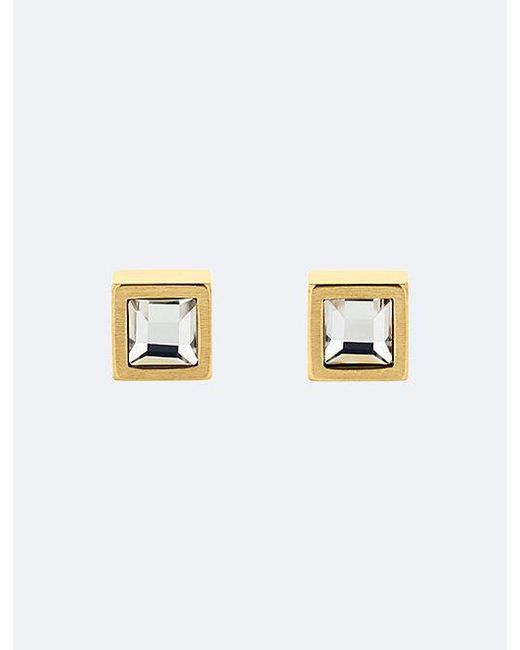 Calvin Klein Metallic Jeans Essential Links Crystal Stud Earrings for men