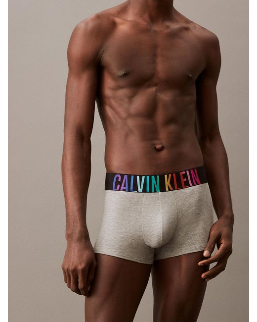 Calvin Klein Gray Trunks - Intense Power Pride for men