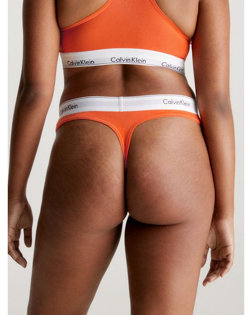 Calvin Klein Orange Plus Size Thong - Modern Cotton