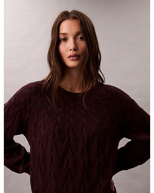 Calvin Klein Brown Jeans Cotton Cable Relaxed Jumper