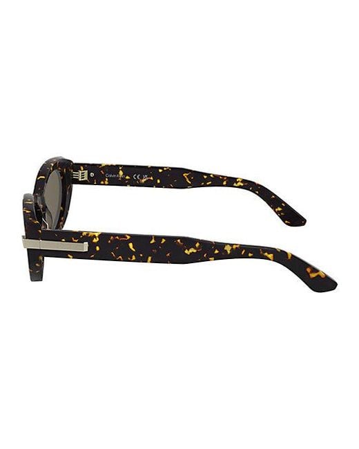 Calvin Klein Brown Cat Eye Sunglasses