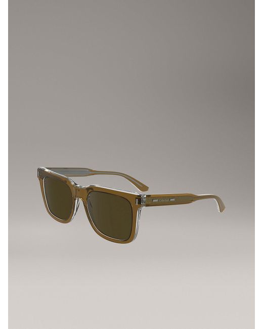 Calvin Klein Brown Modified Rectangle Sunglasses Ck24536S for men