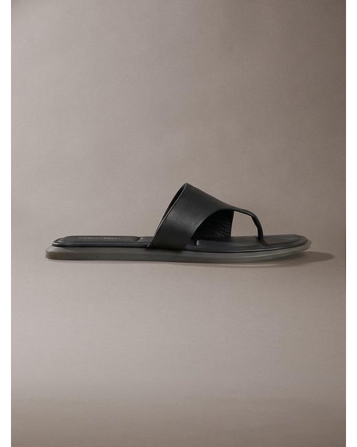 Calvin Klein Gray Carla