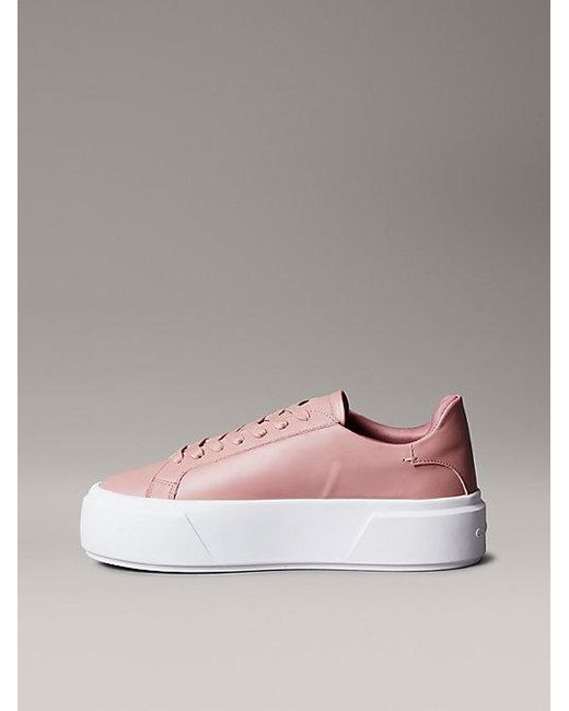 Calvin Klein Pink Sienna