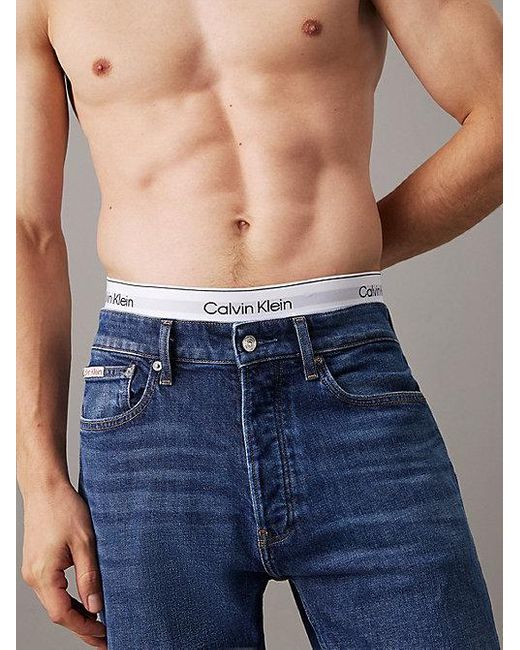 Calvin Klein Standard Straight Jeans in het Blue voor heren