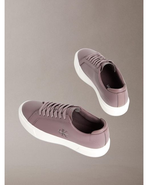 Calvin Klein Brown Premier