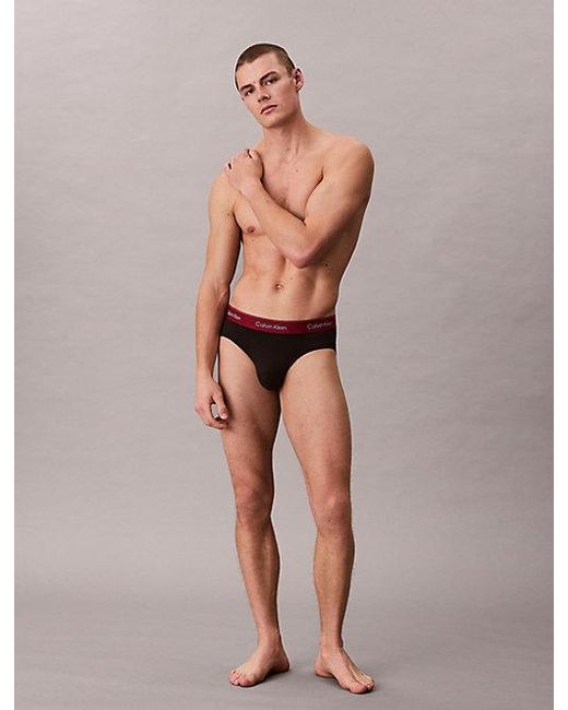 Calvin Klein Multicolor 3 Pack Hip Briefs for men