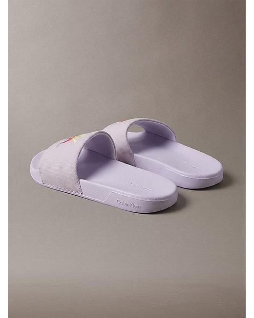 Calvin Klein Gray Canvas Contoured Logo Sliders Pride