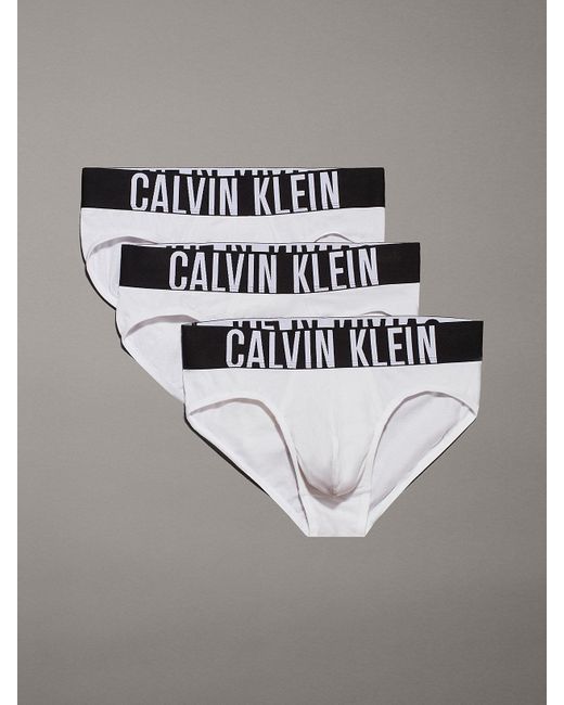 Calvin Klein Gray 3 Pack Briefs - Intense Power for men