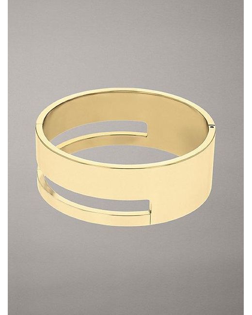 Calvin Klein Gray Minimalistic Hinged Bangle