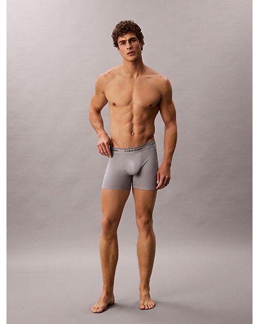 Calvin Klein Gray 3 Pack Boxer Briefs for men