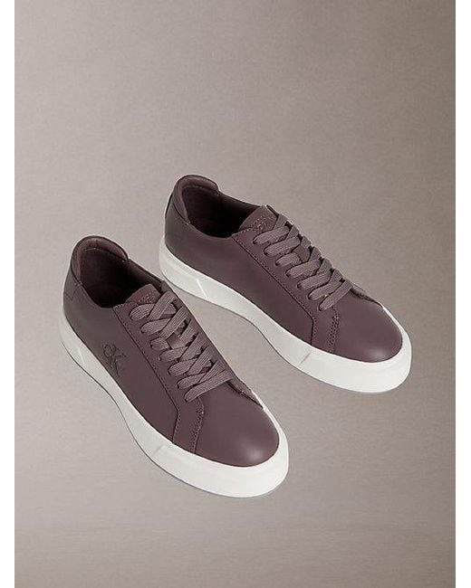 Calvin Klein Brown Premier Leather Signature Trainers