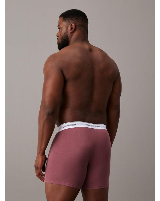 Calvin Klein Gray Plus Size 3 Pack Boxer Briefs - Modern Cotton for men