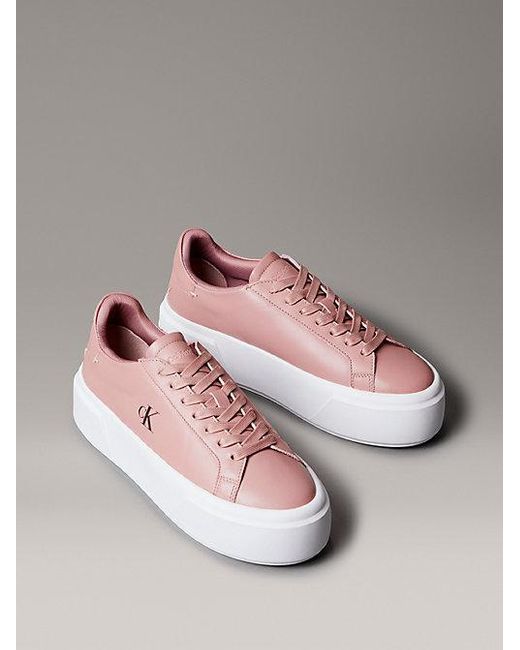 Calvin Klein Pink Sienna
