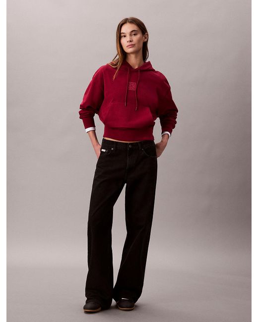 Sweat À Capuche En Éponge De Qualité Supérieure Calvin Klein en coloris Red