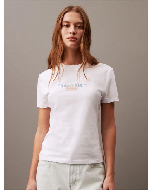 Calvin Klein Brown Minimal Logo Graphic Slim Fit T-shirt