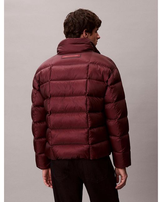 Calvin Klein Multicolor Ripstop Mock Neck Puffer Jacket for men