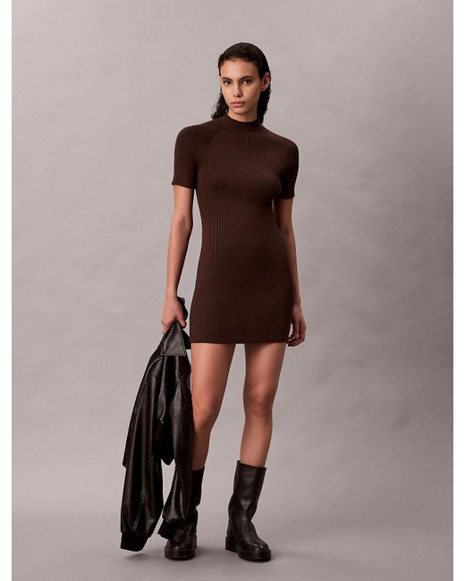Calvin Klein Brown Sculpted Knit Mini Dress