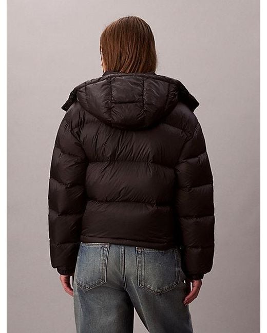 Calvin Klein Brown Kurze Daunen-Steppjacke
