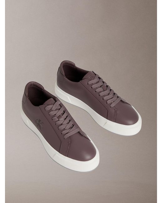 Calvin Klein Brown Premier